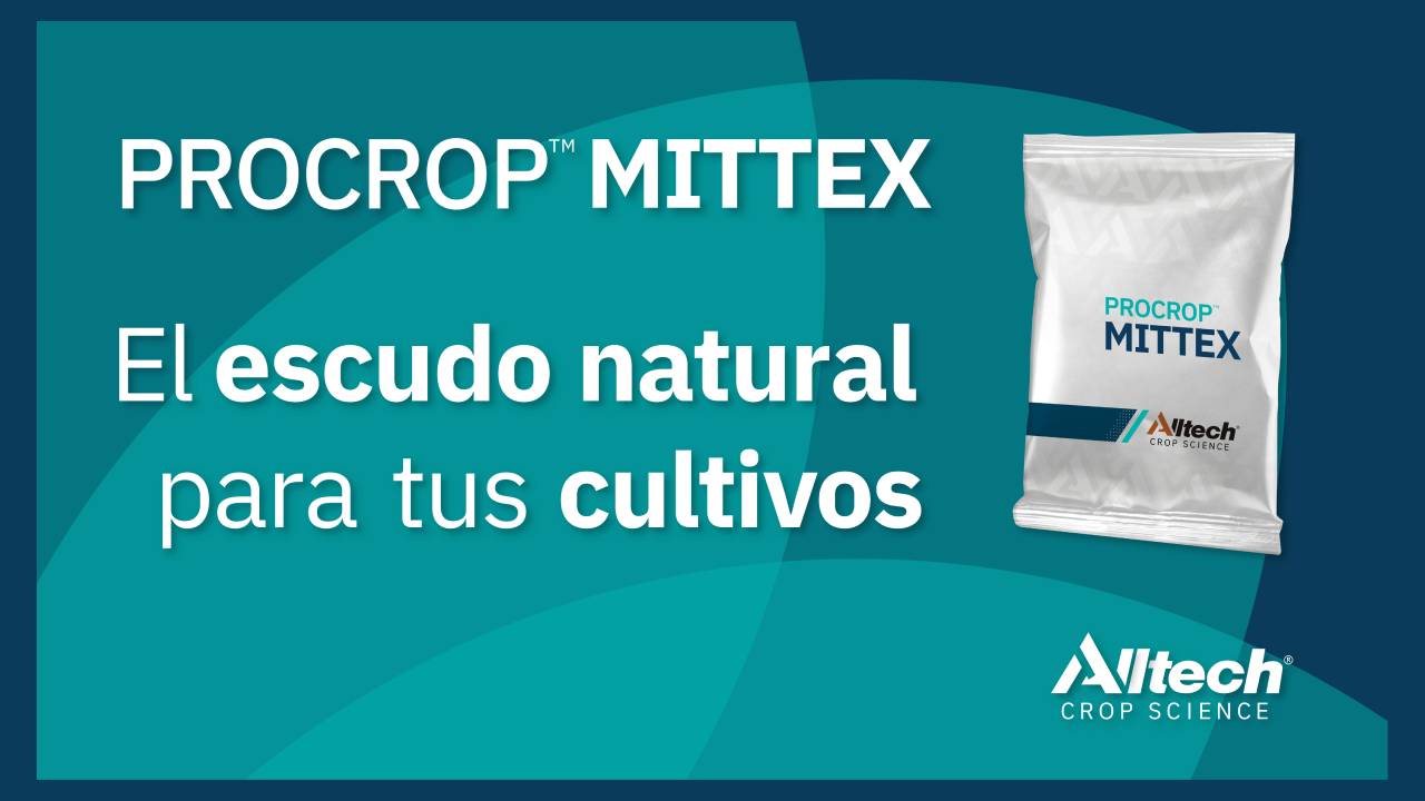 el-escudo-natural-que-activa-las-defensas-de-tus-cultivos