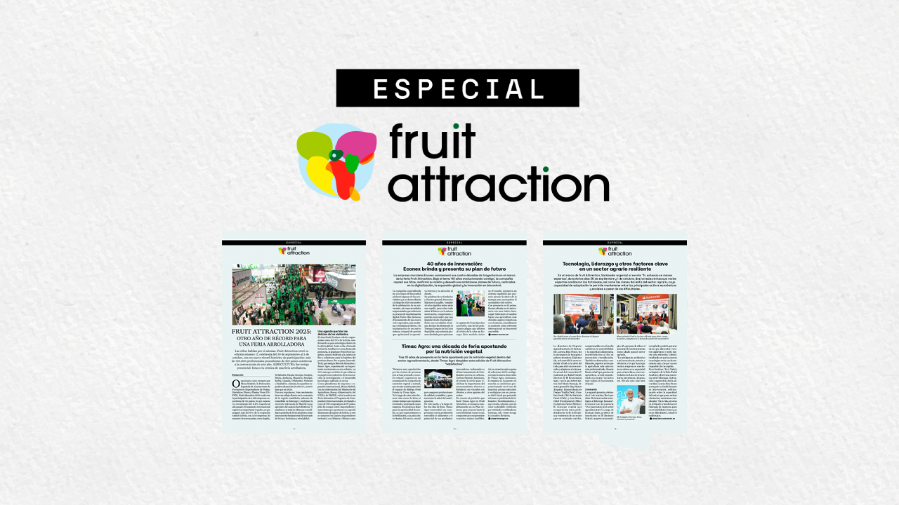 imagen principal noticia