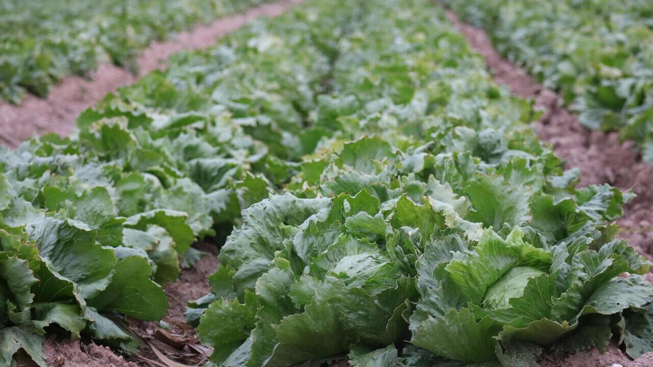 imagen principal noticia