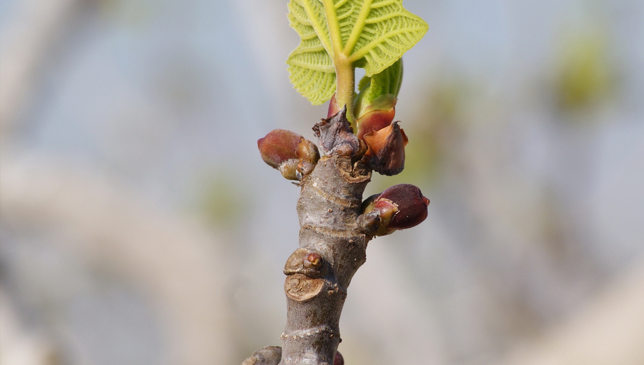 imagen principal noticia