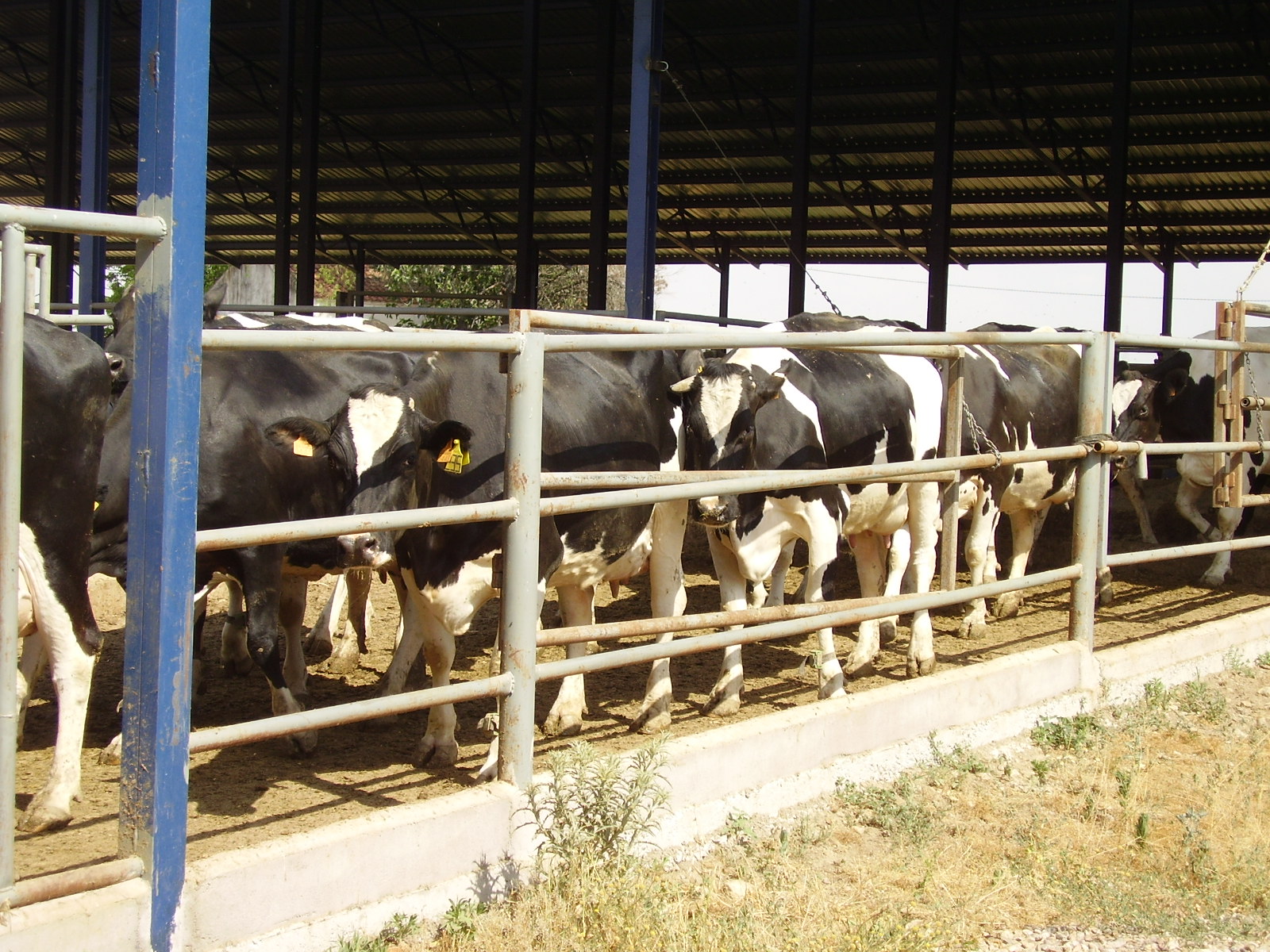 imagen principal noticia