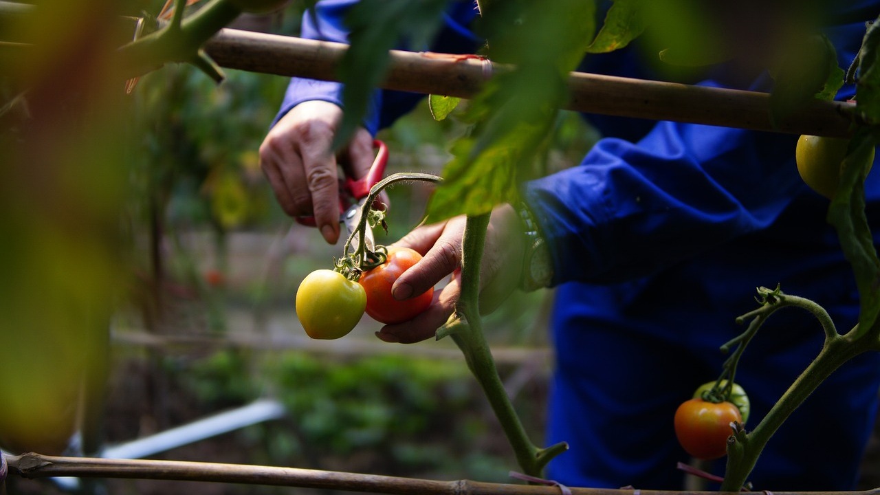 imagen principal noticia