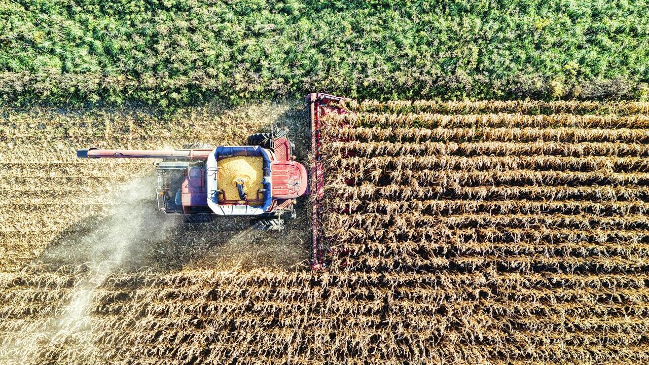 exportadores-maquinaria-afianzar-relaciones-clientes-contexto-inestabilidad