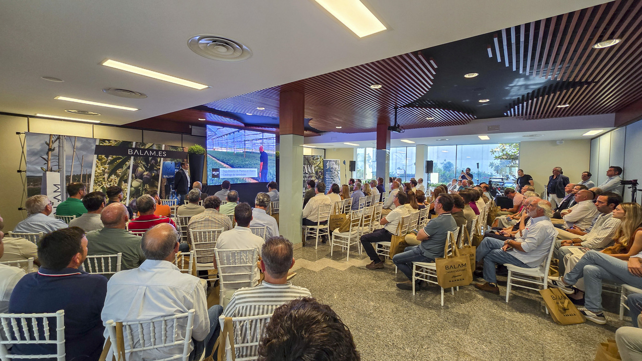 imagen principal noticia