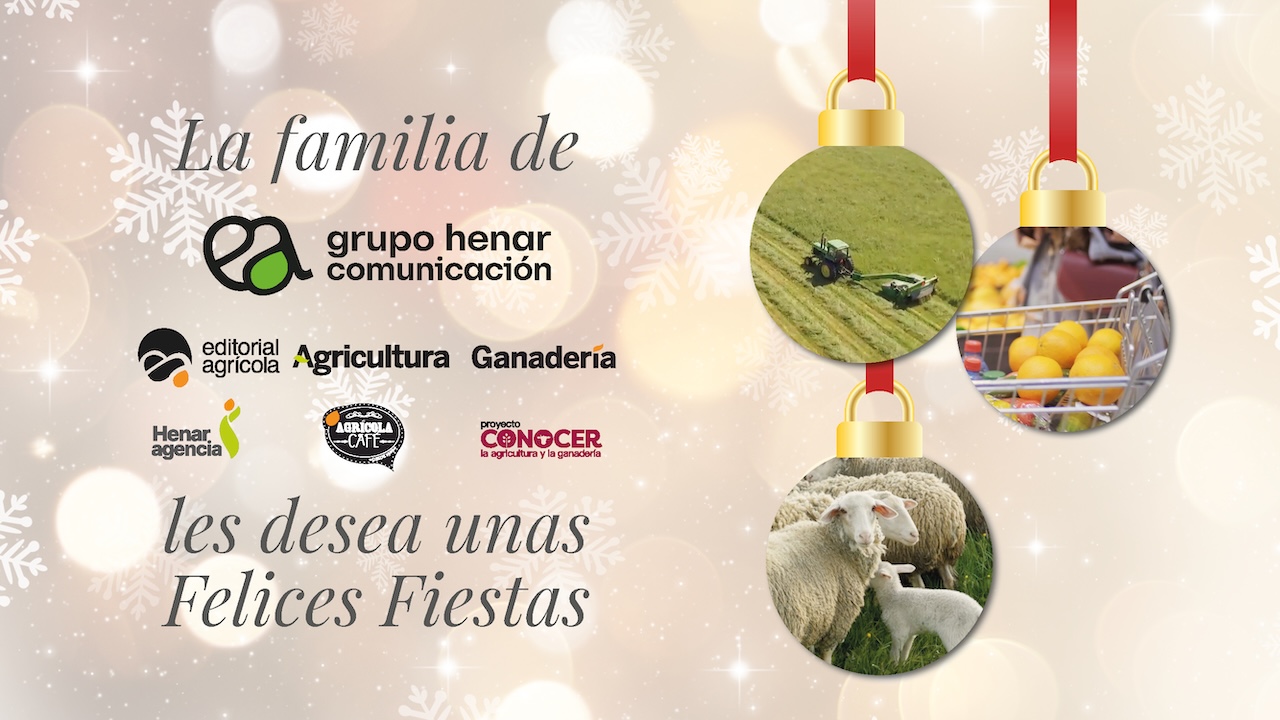 imagen principal noticia