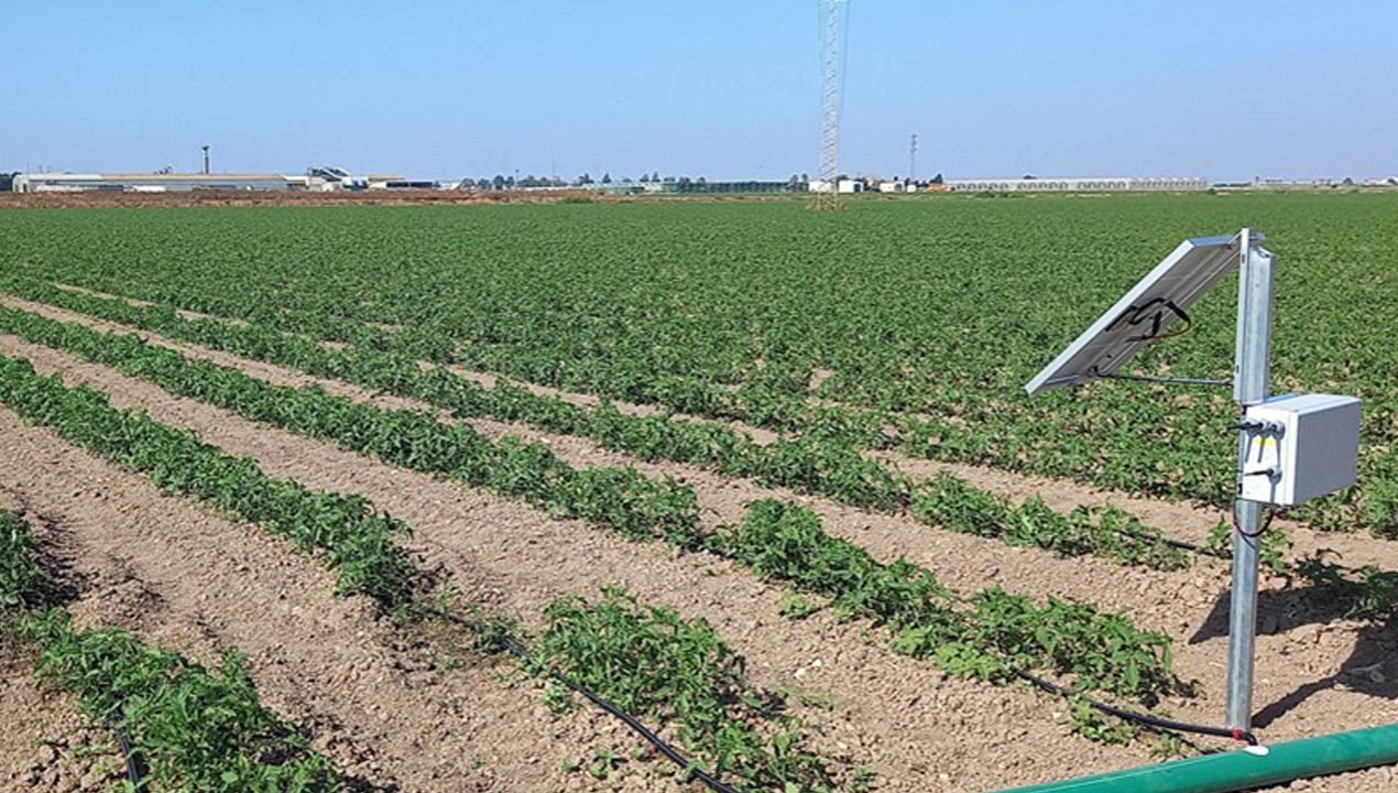 imagen principal noticia