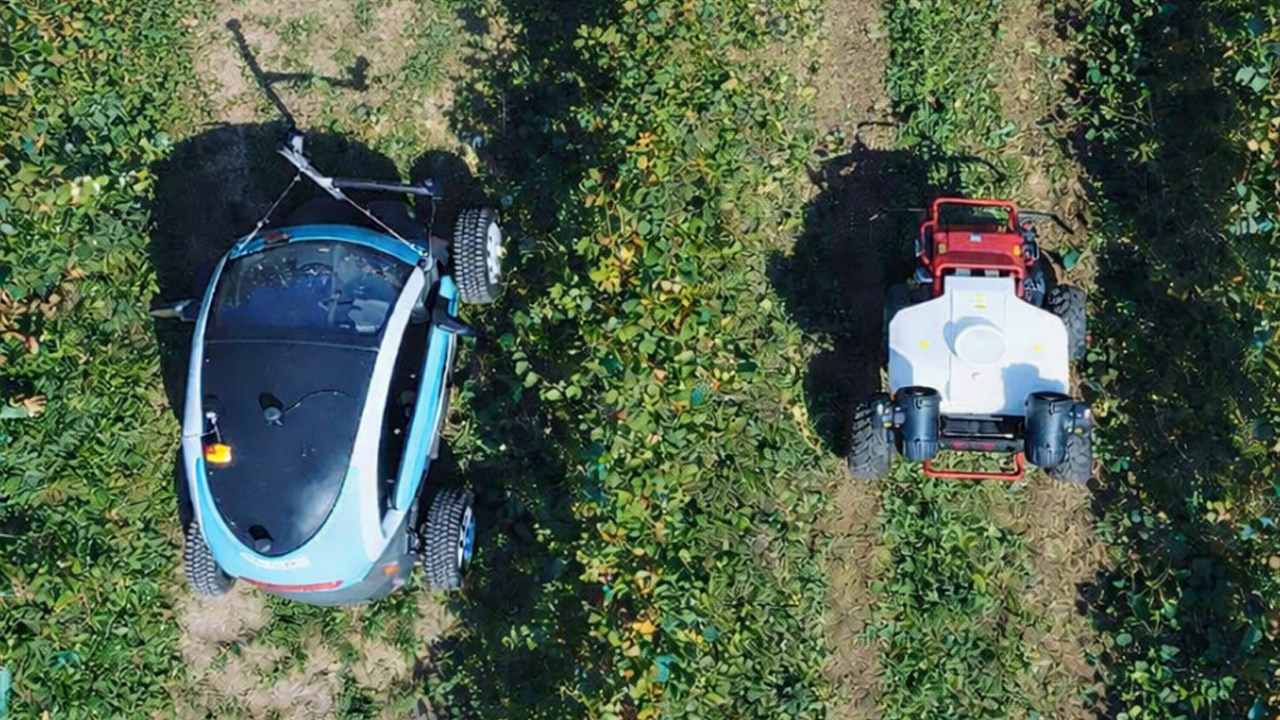 imagen principal noticia