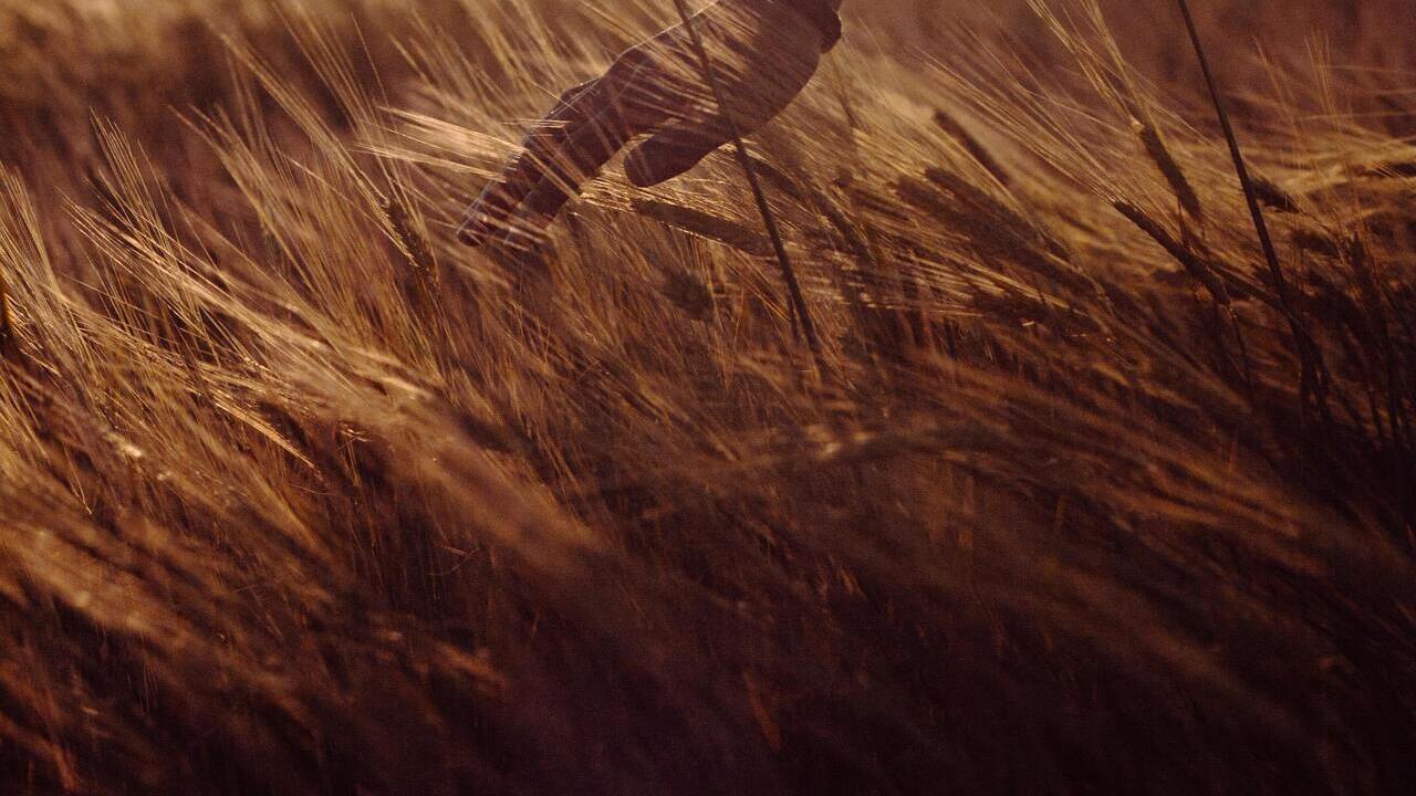 ayudas-programas-formacion-ampliar-competencias-profesionales-rural