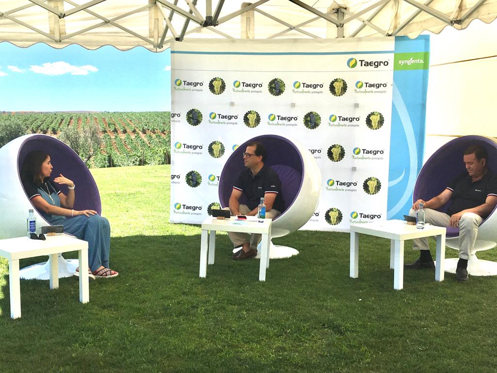 imagen principal noticia