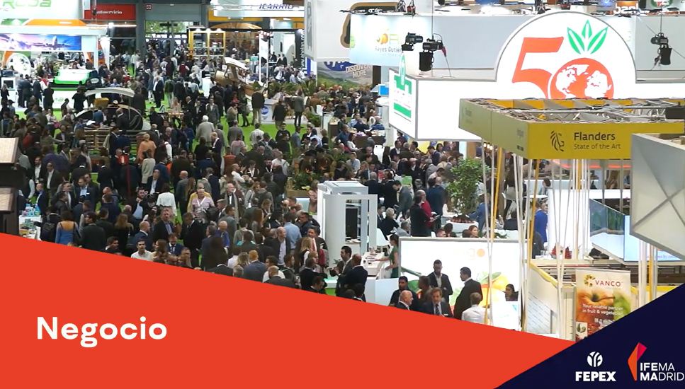 imagen principal noticia