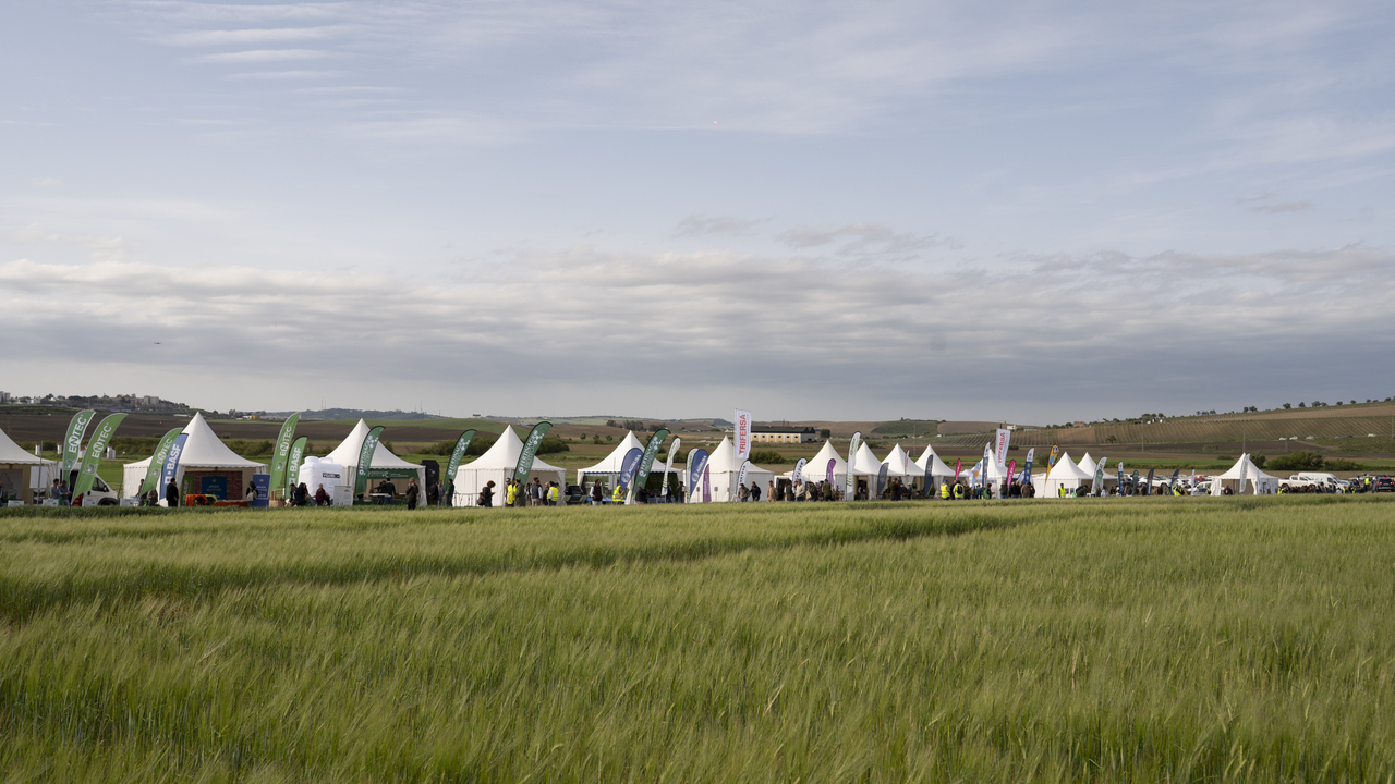 cereal-planta-cara-cambio-climatico-blinda-competitividad