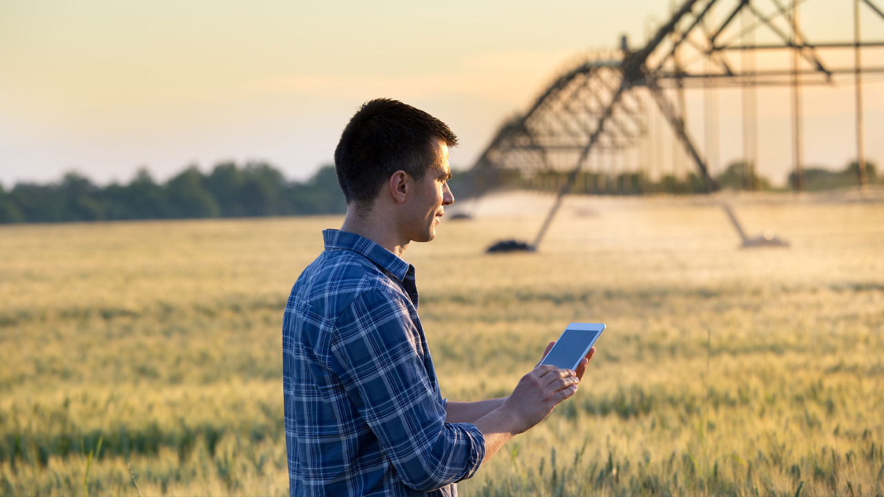 imagen principal noticia