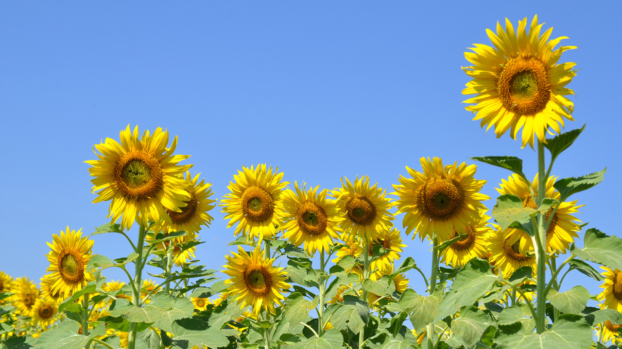 imagen principal noticia