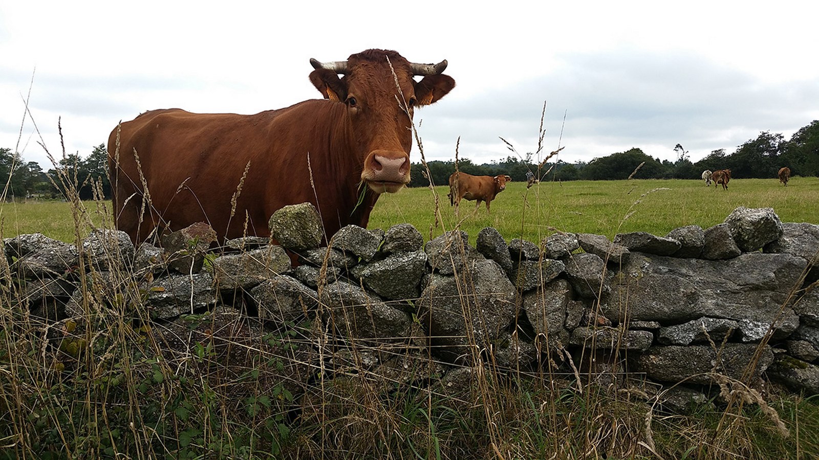 imagen principal noticia