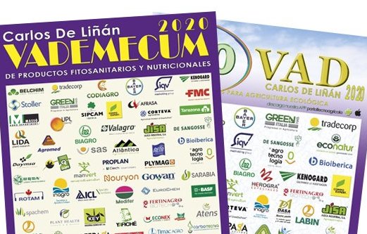 imagen principal noticia