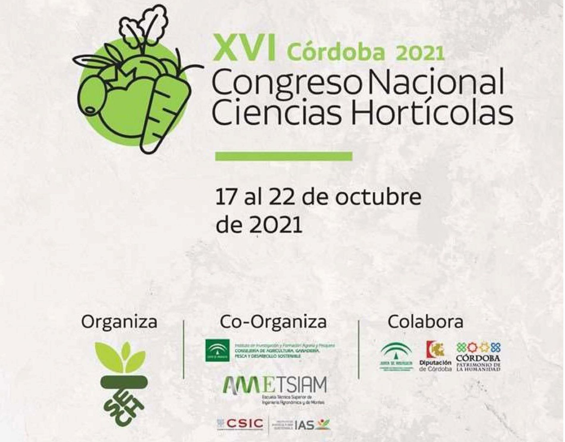 imagen principal noticia