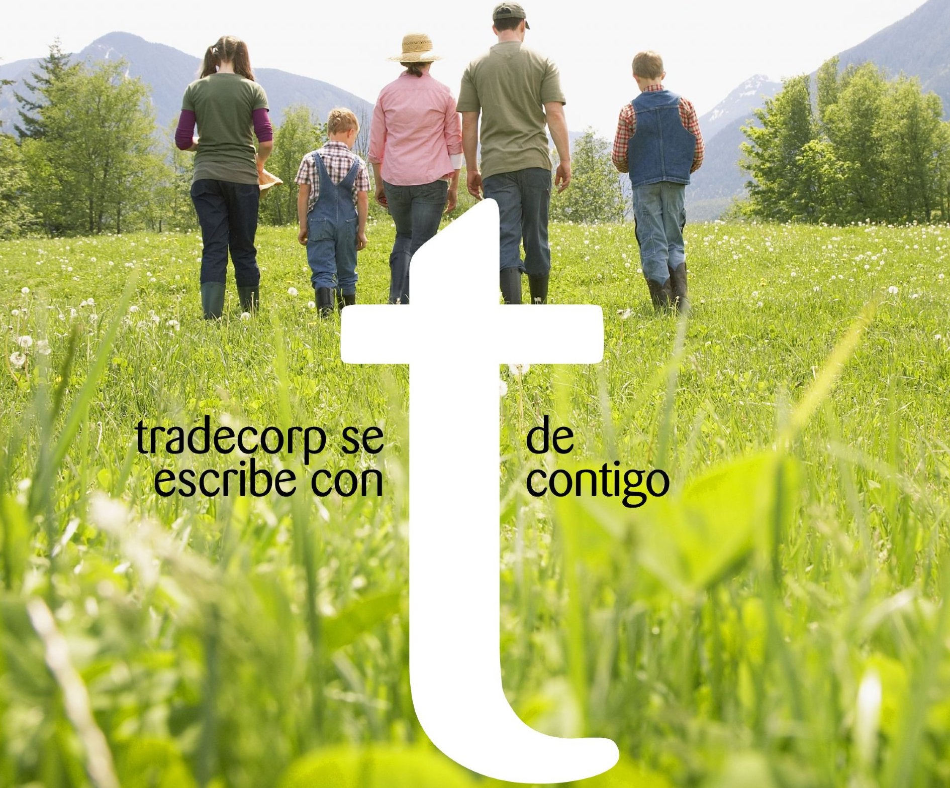 imagen principal noticia