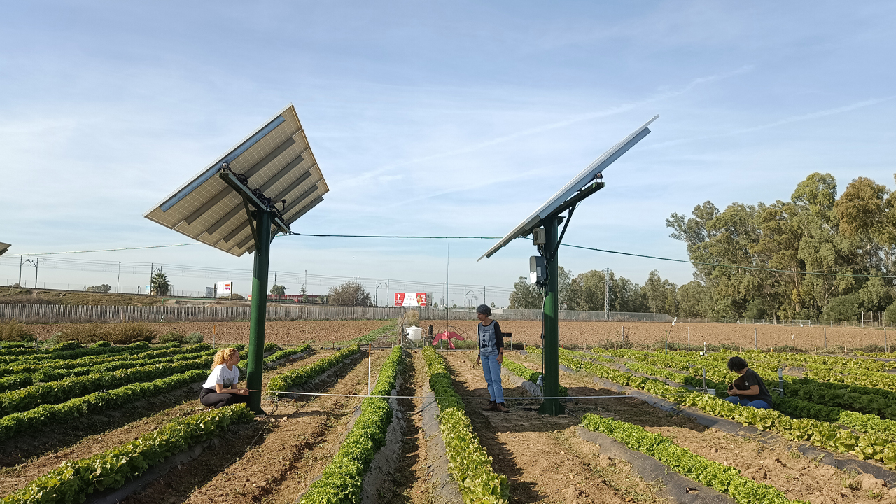 integracion-agrovoltaica-oportunidades-retos-para-el-agricultor