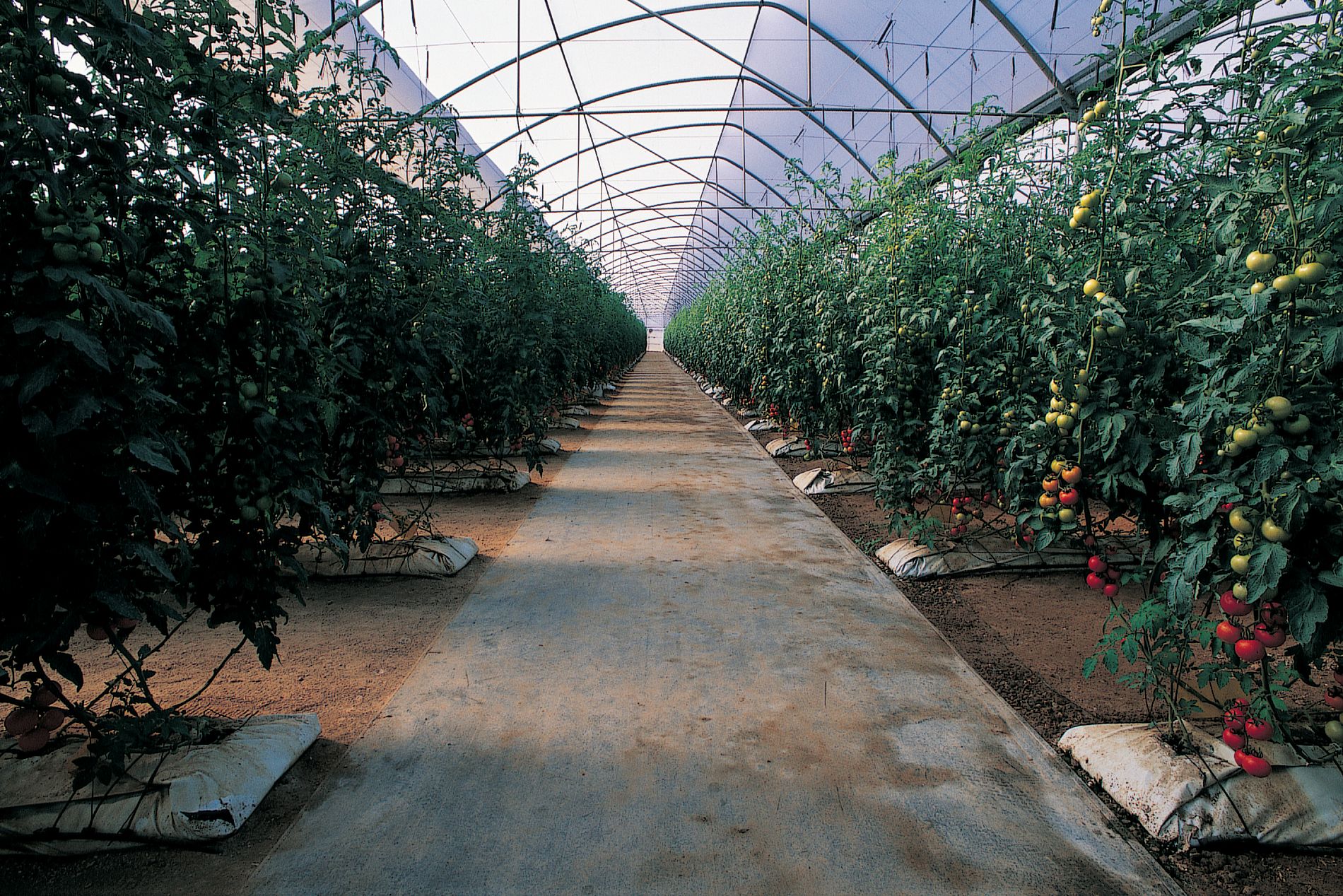 imagen principal noticia