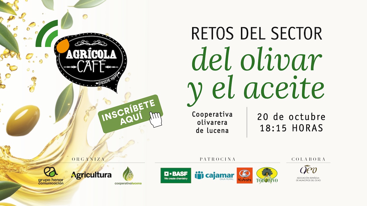 lucena-innovacion-y-relevo-generacional