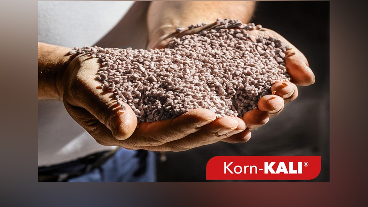 ks-calidad-por-naturaleza