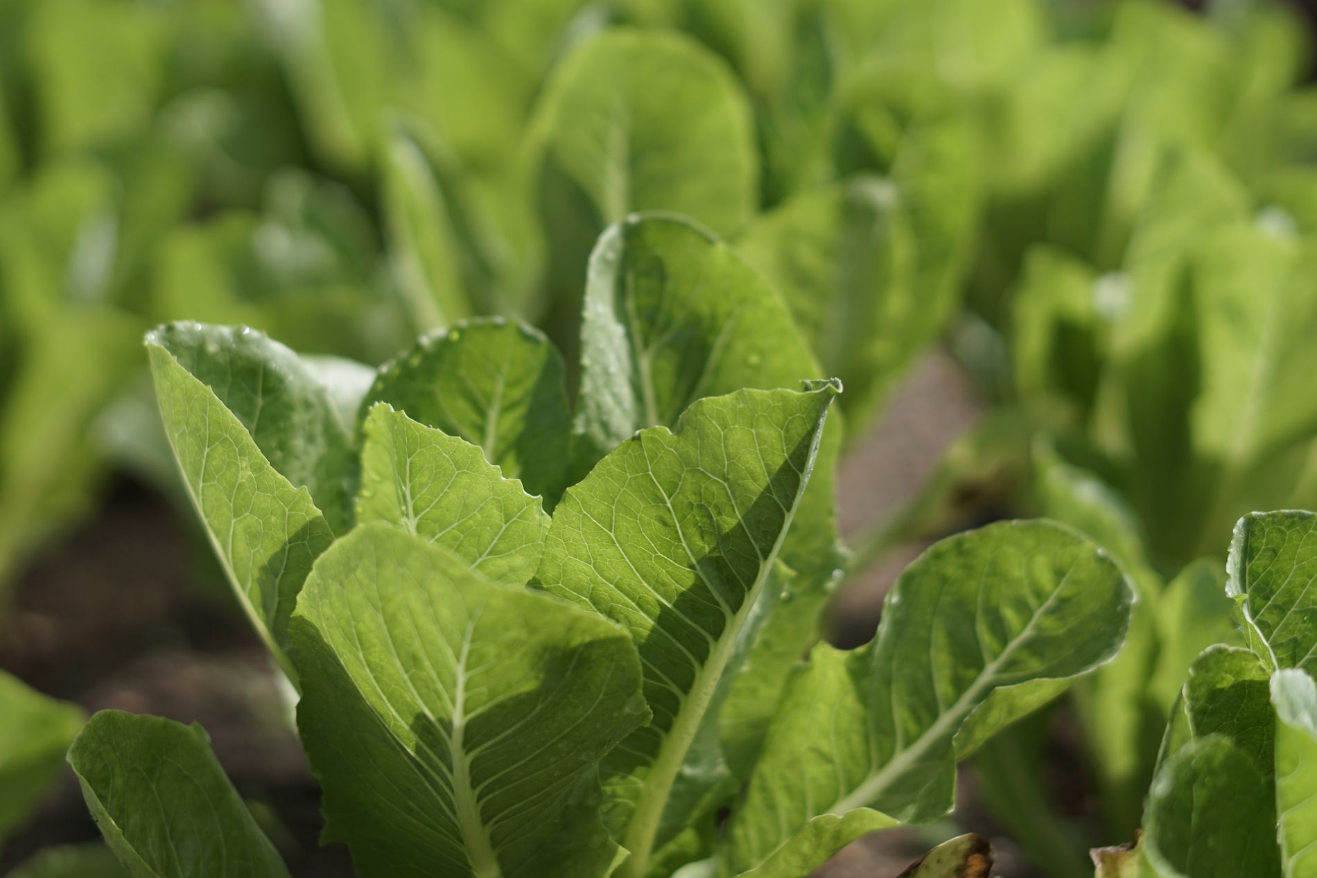 imagen principal noticia