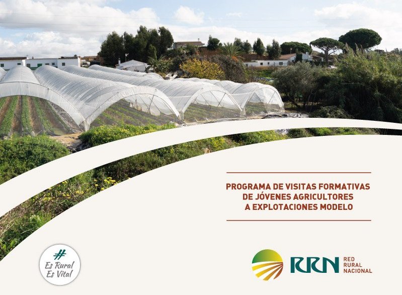 imagen principal noticia