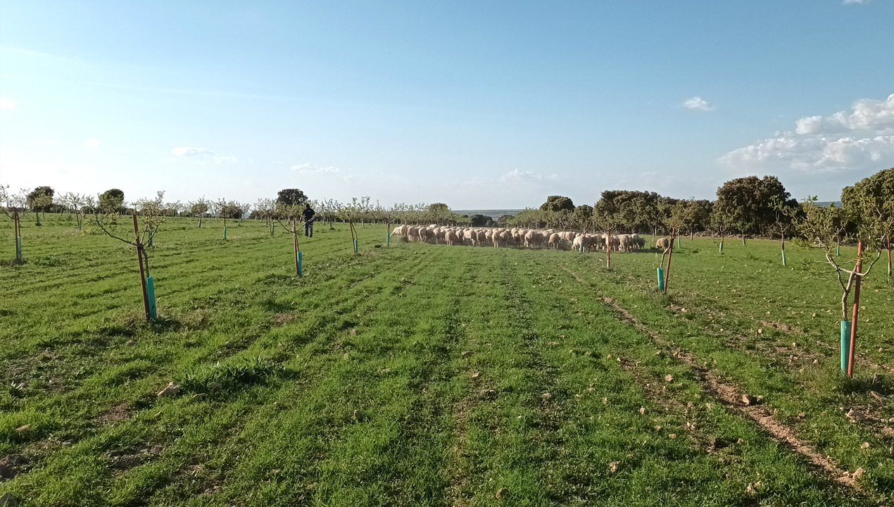 imagen principal noticia