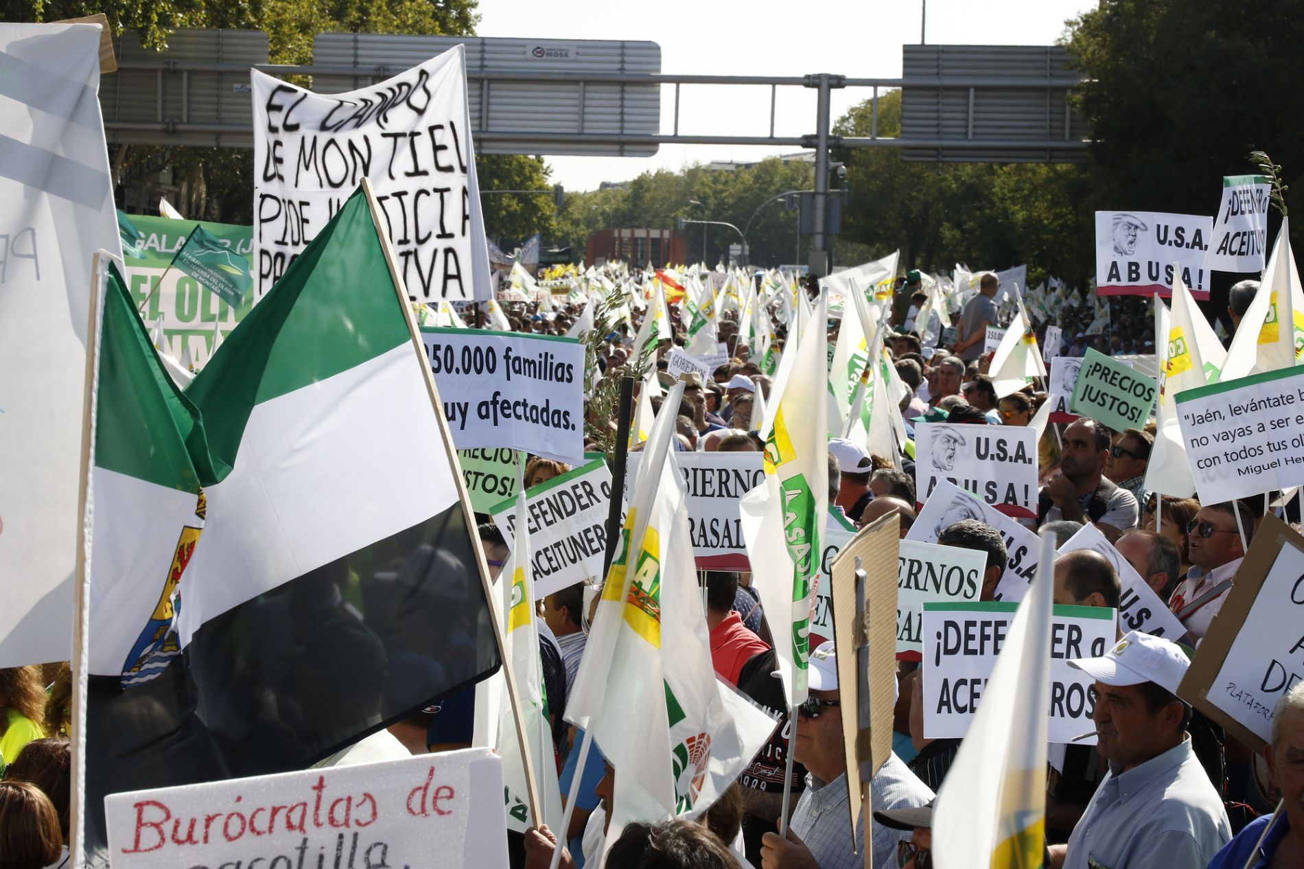 imagen principal noticia