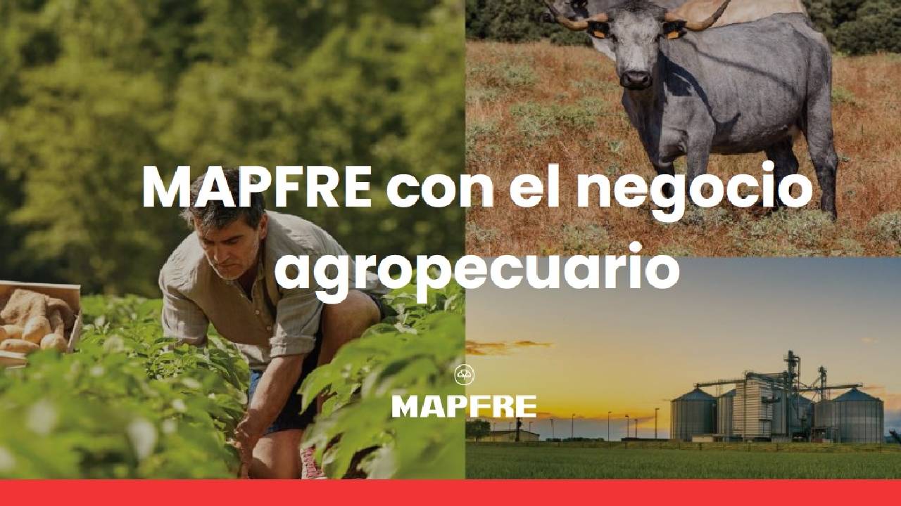 imagen principal noticia