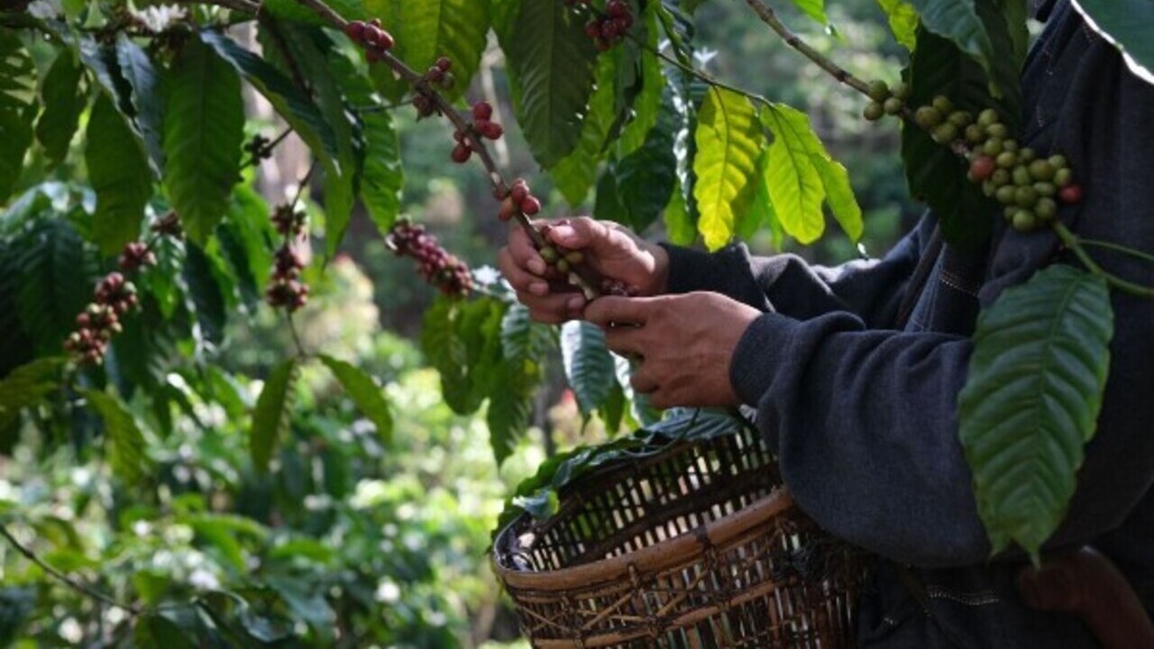 imagen principal noticia