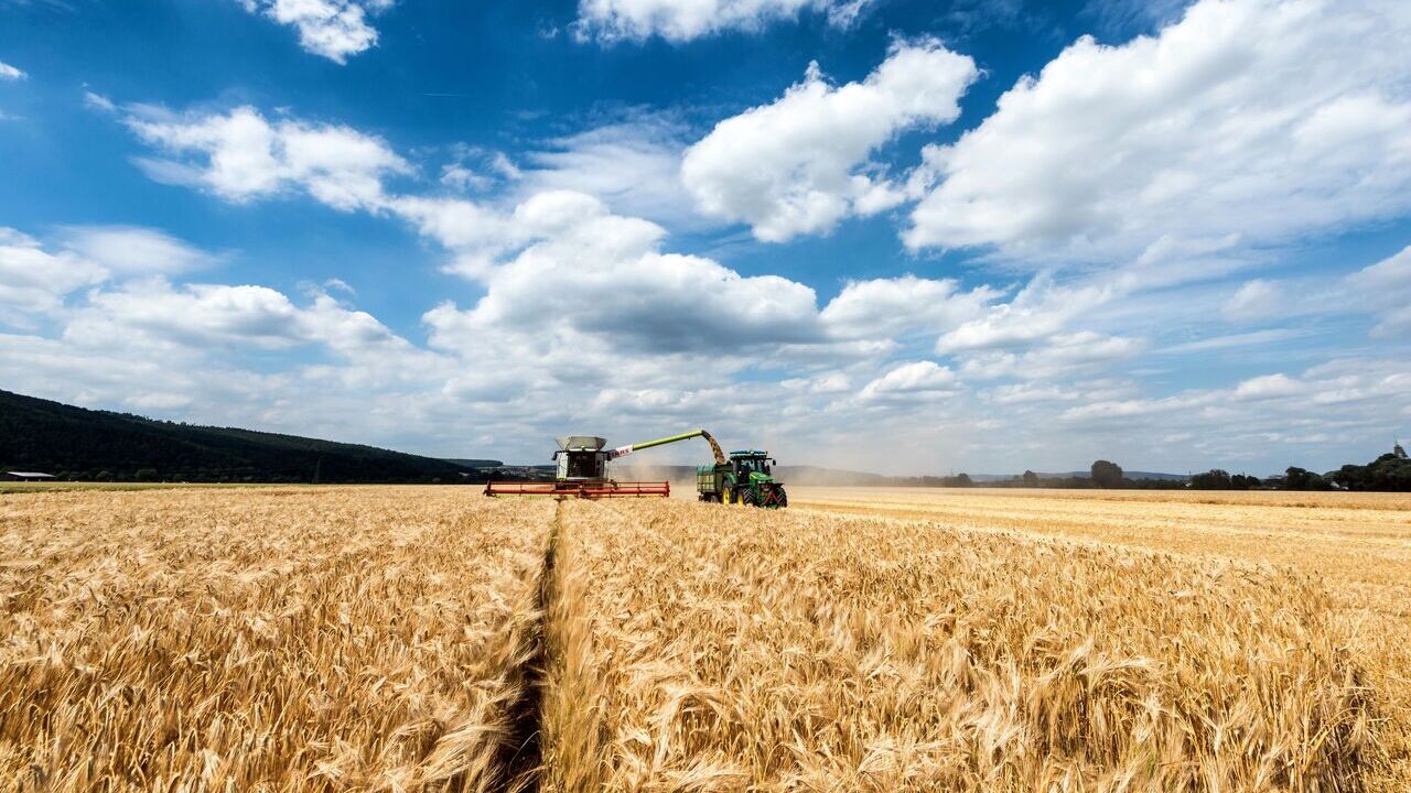 previsiones-bruselas-apuntan-solidez-mercados-agricolas
