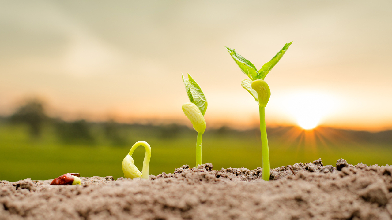 paso-adelante-europa-regulacion-nuevas-tecnicas-genomicas