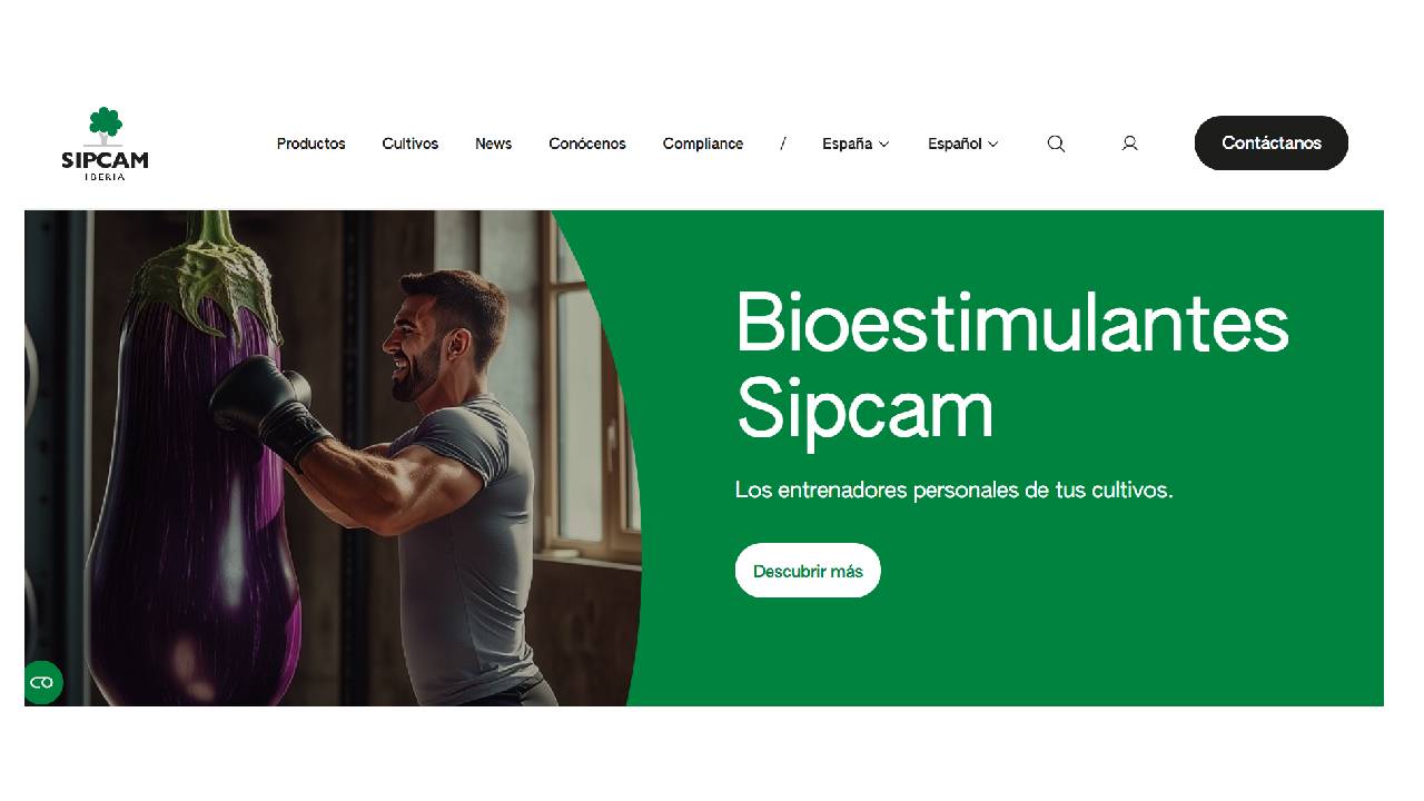 imagen principal noticia