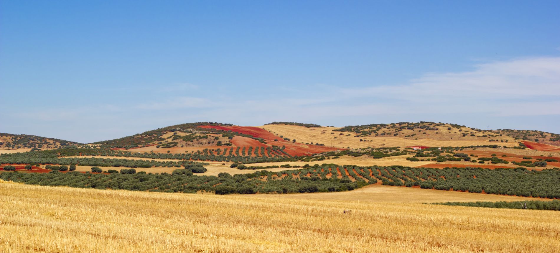 imagen principal noticia