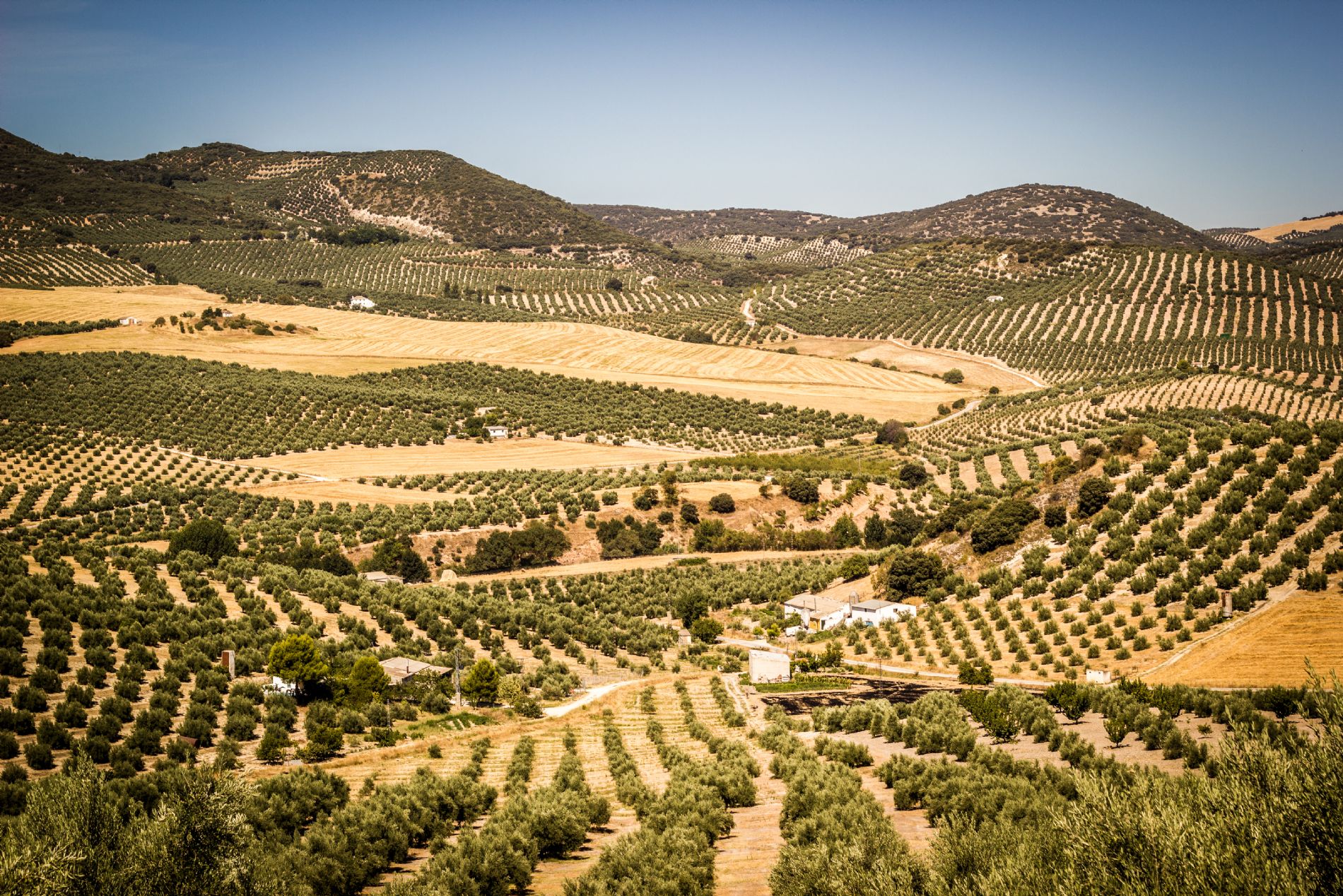 imagen principal noticia