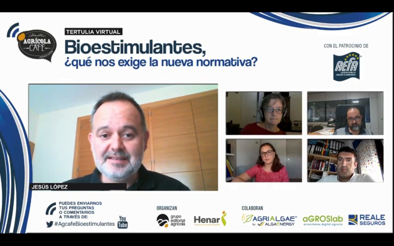 imagen principal noticia