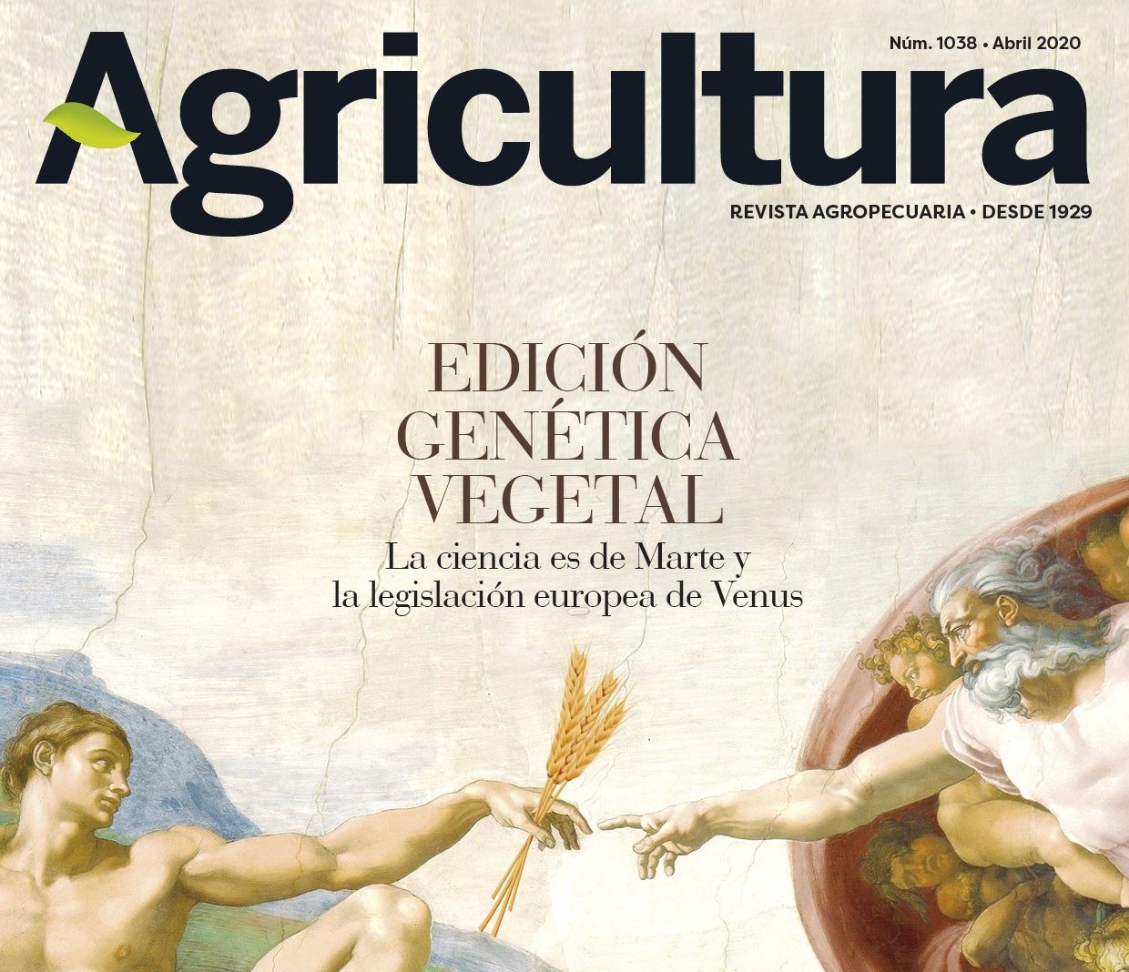 imagen principal noticia