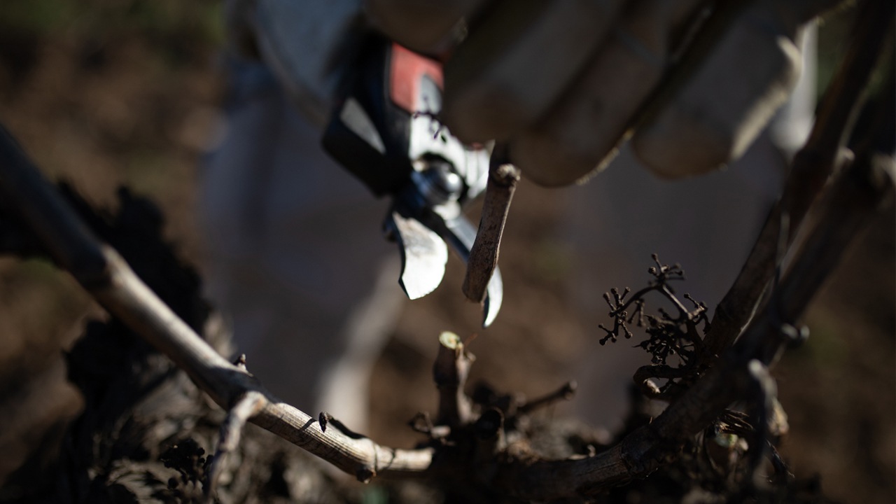 imagen principal noticia