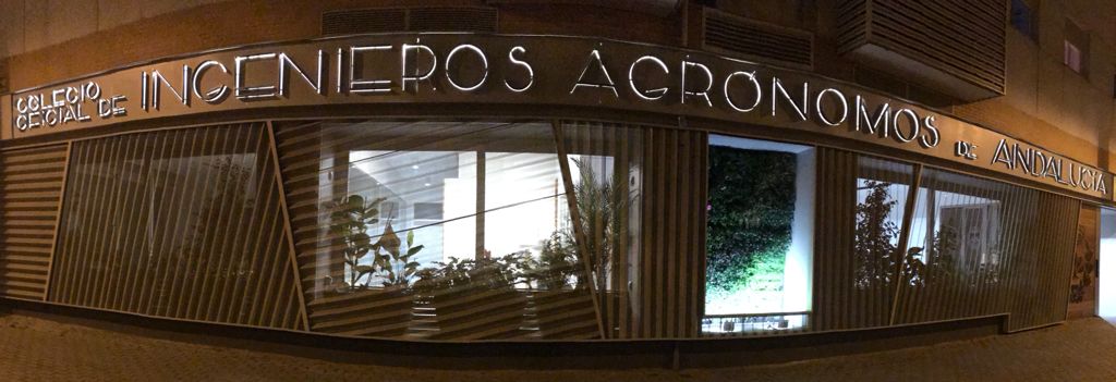 imagen principal noticia