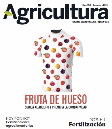 imagen principal noticia