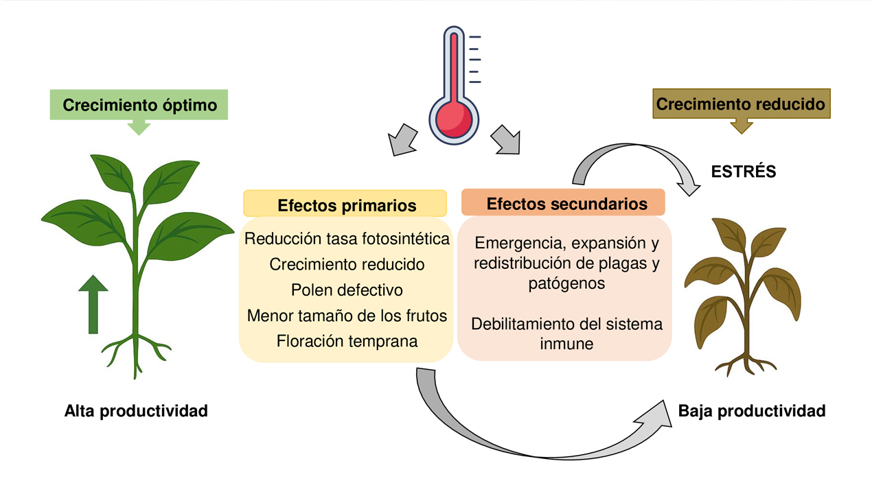 imagen principal noticia