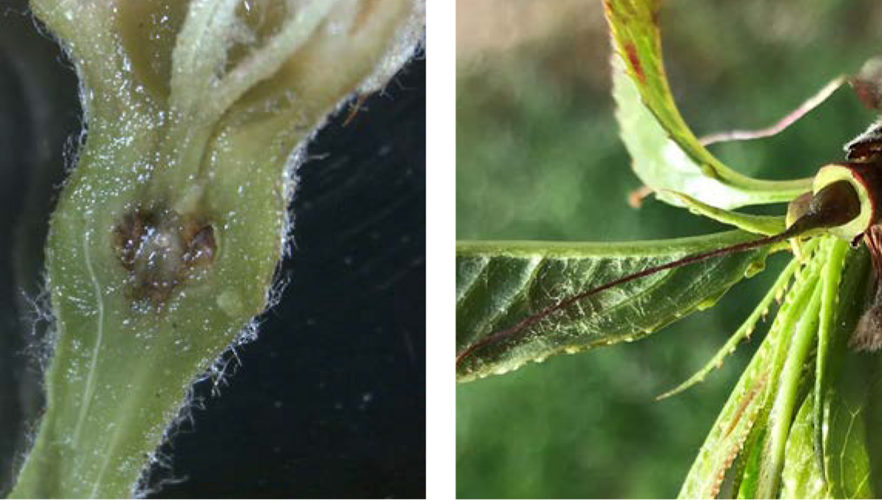 imagen principal noticia