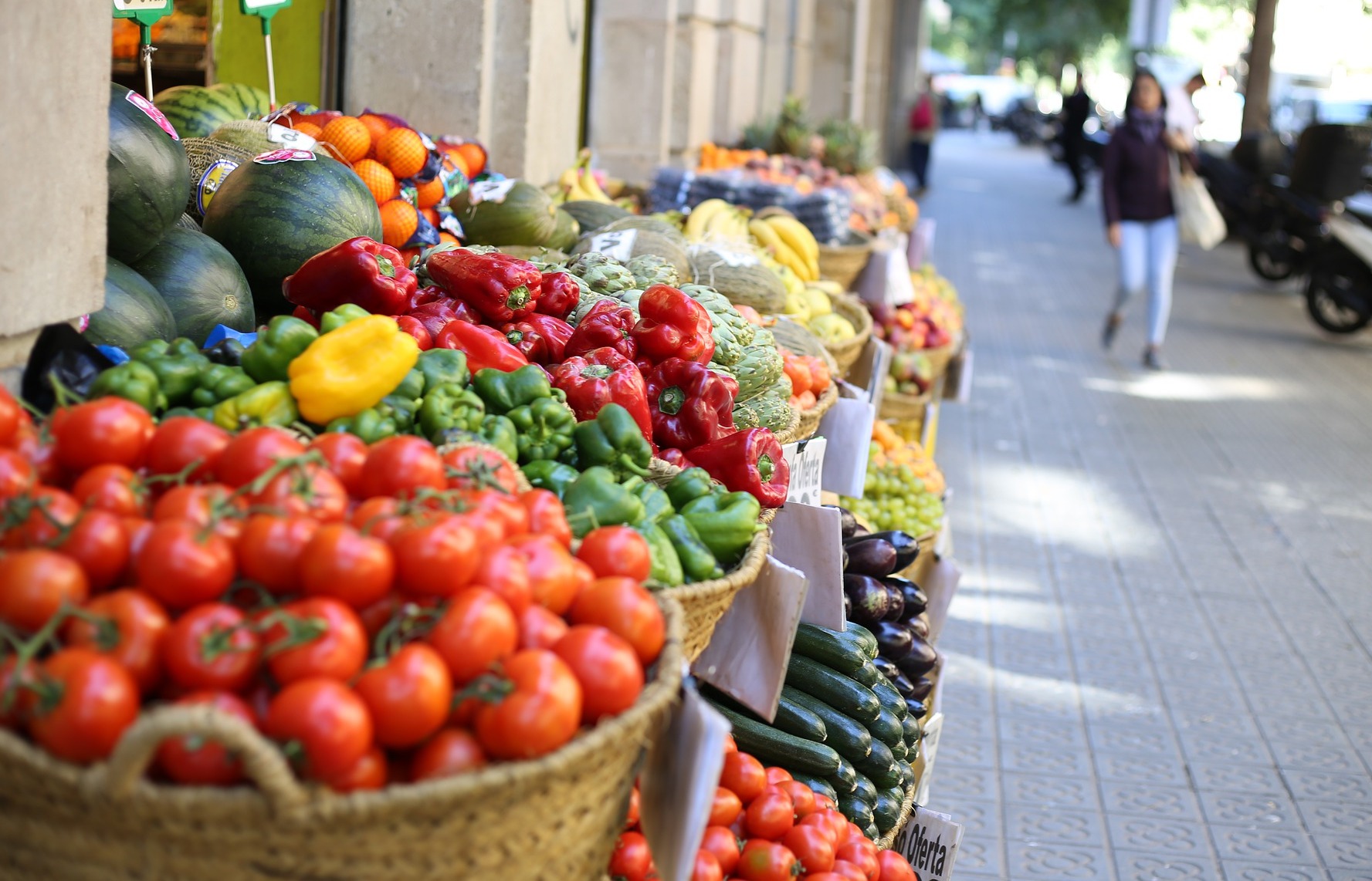 imagen principal noticia