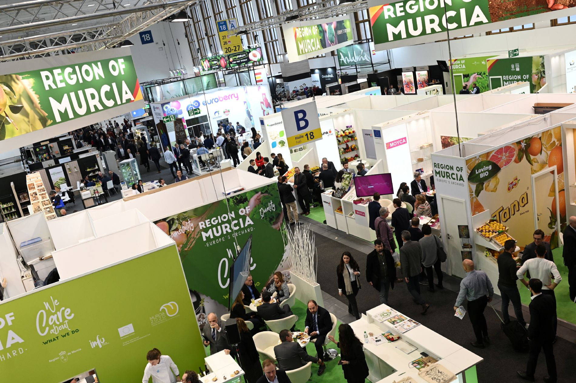 imagen principal noticia