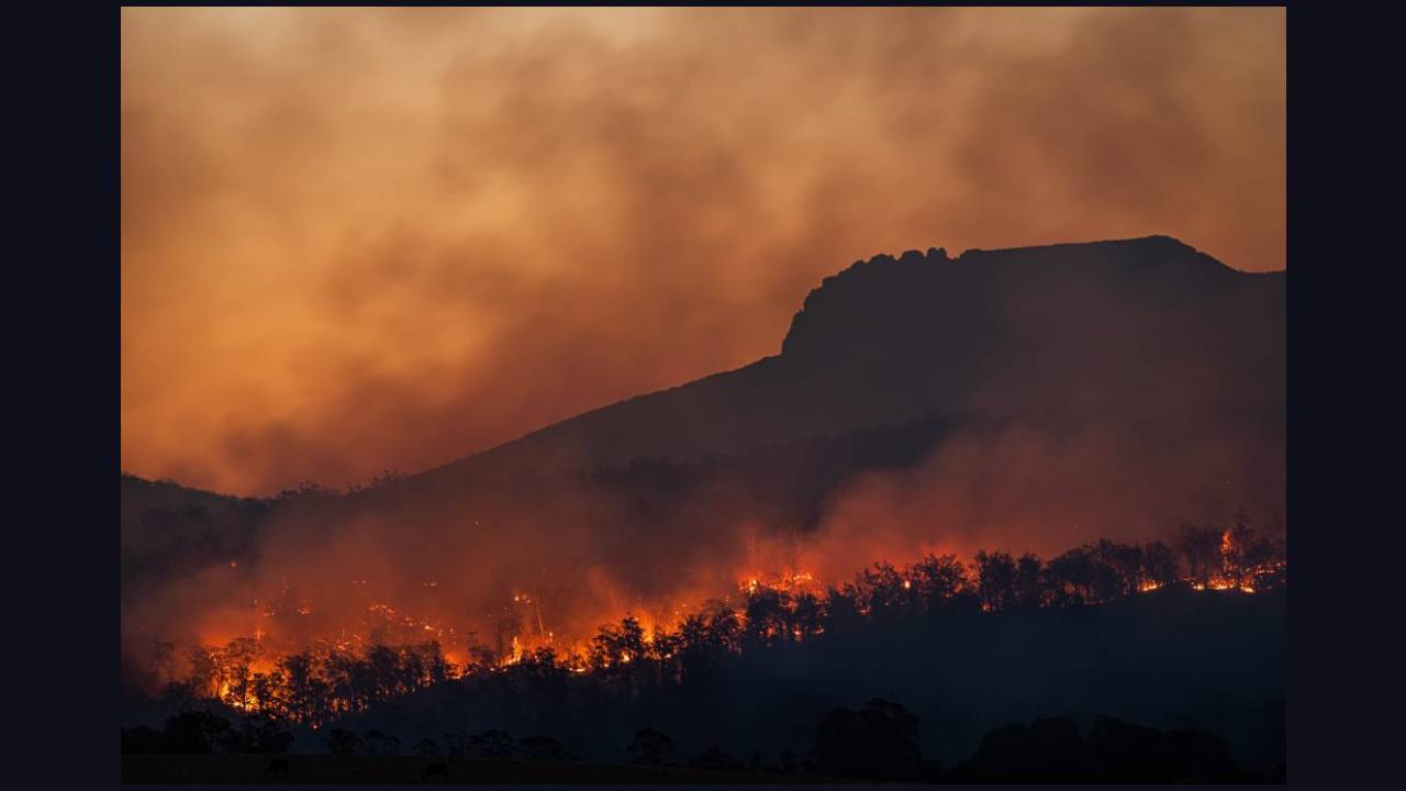 imagen principal noticia