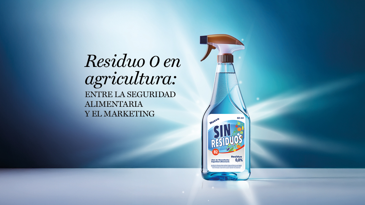 imagen principal noticia