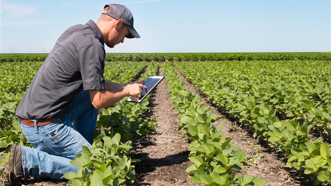 imagen principal noticia