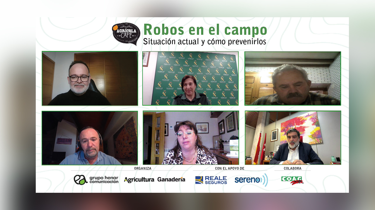 imagen principal noticia