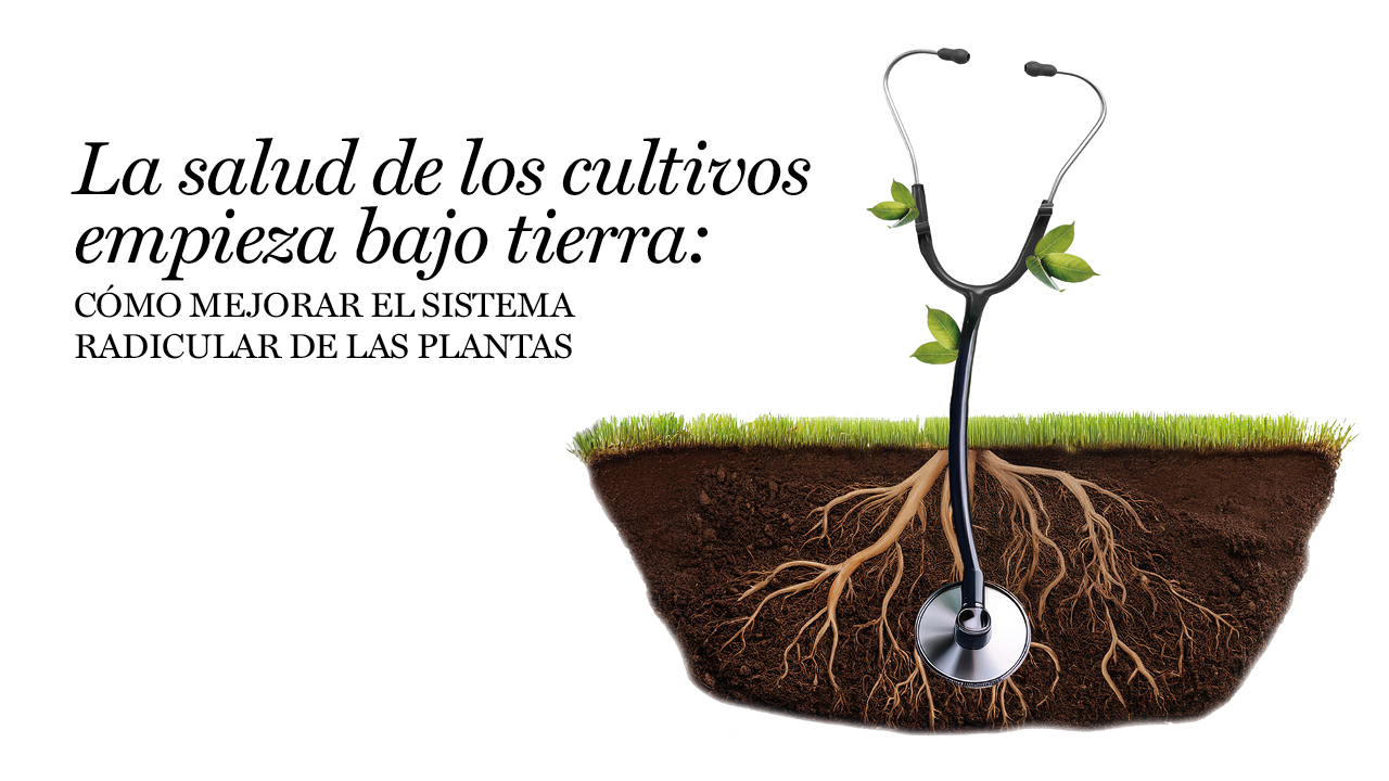 imagen principal noticia
